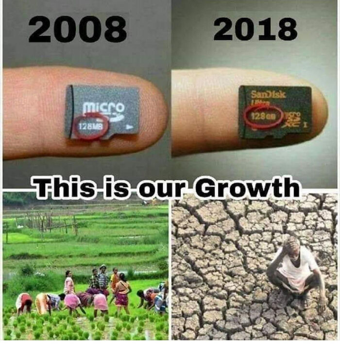 Microsds Have Destroyed The Environment