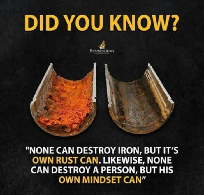 Sorry If This Is A Repost