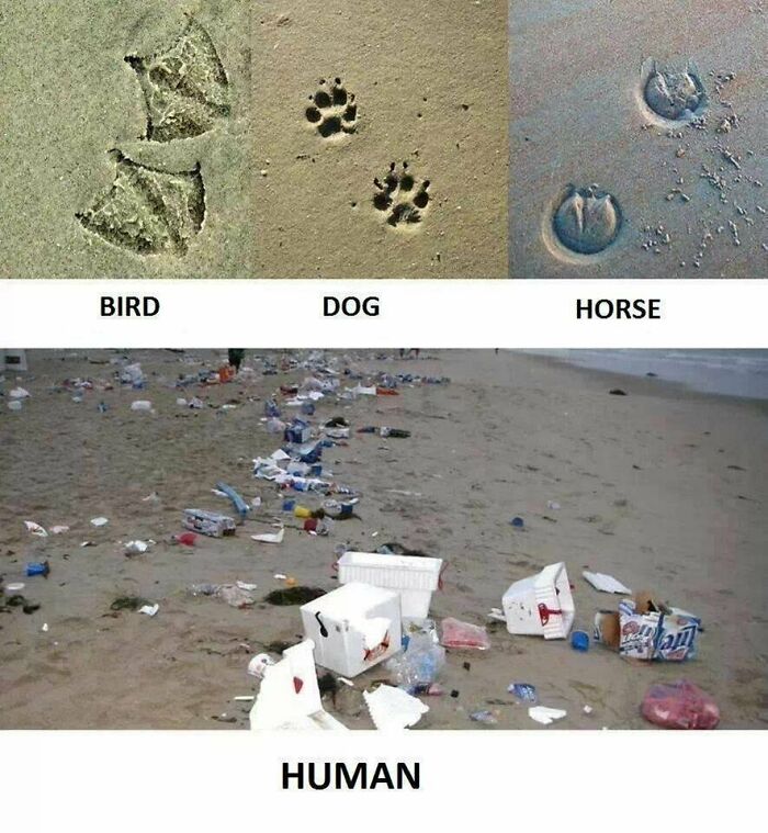 Human Footprint