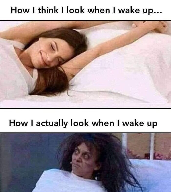 Horror-Community-Memes-The-Devils-Playground