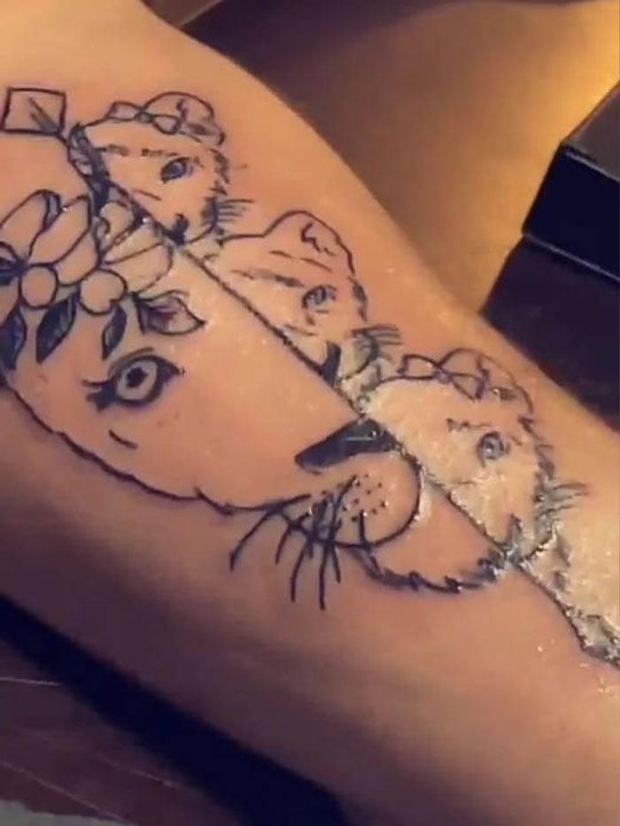 This Is Supposed To Be The Final Product???