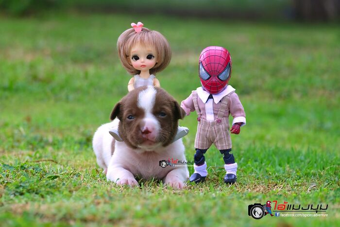 Artist Puts Baby Spider-Man And Animals In The Funniest Scenes (50 New Pics)