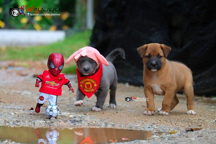 Artist Puts Baby Spider-Man And Animals In The Funniest Scenes (50 New Pics)