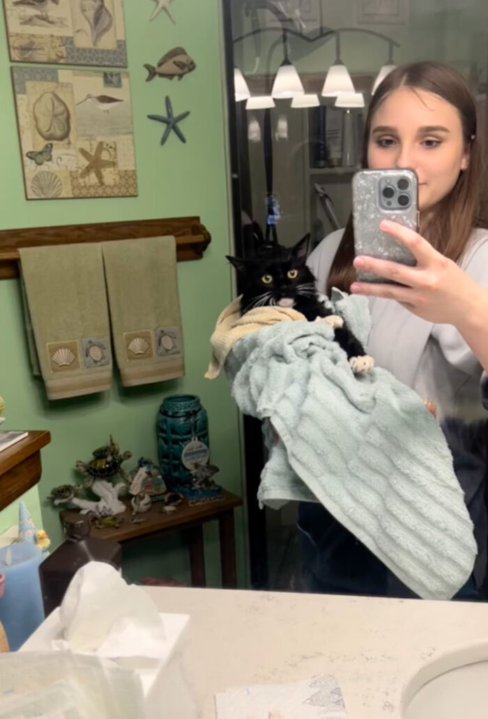 Determined Stray Comes To A Family On A Daily Basis Until They Adopt Him