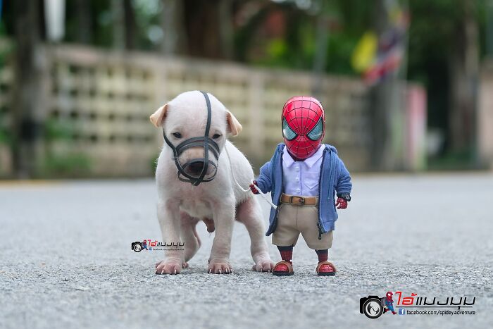 Artist Puts Baby Spider-Man And Animals In The Funniest Scenes (50 New Pics)