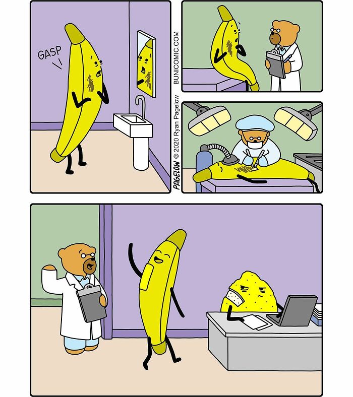 23 Comics Where Doctor Bears Will Make Your Day Better