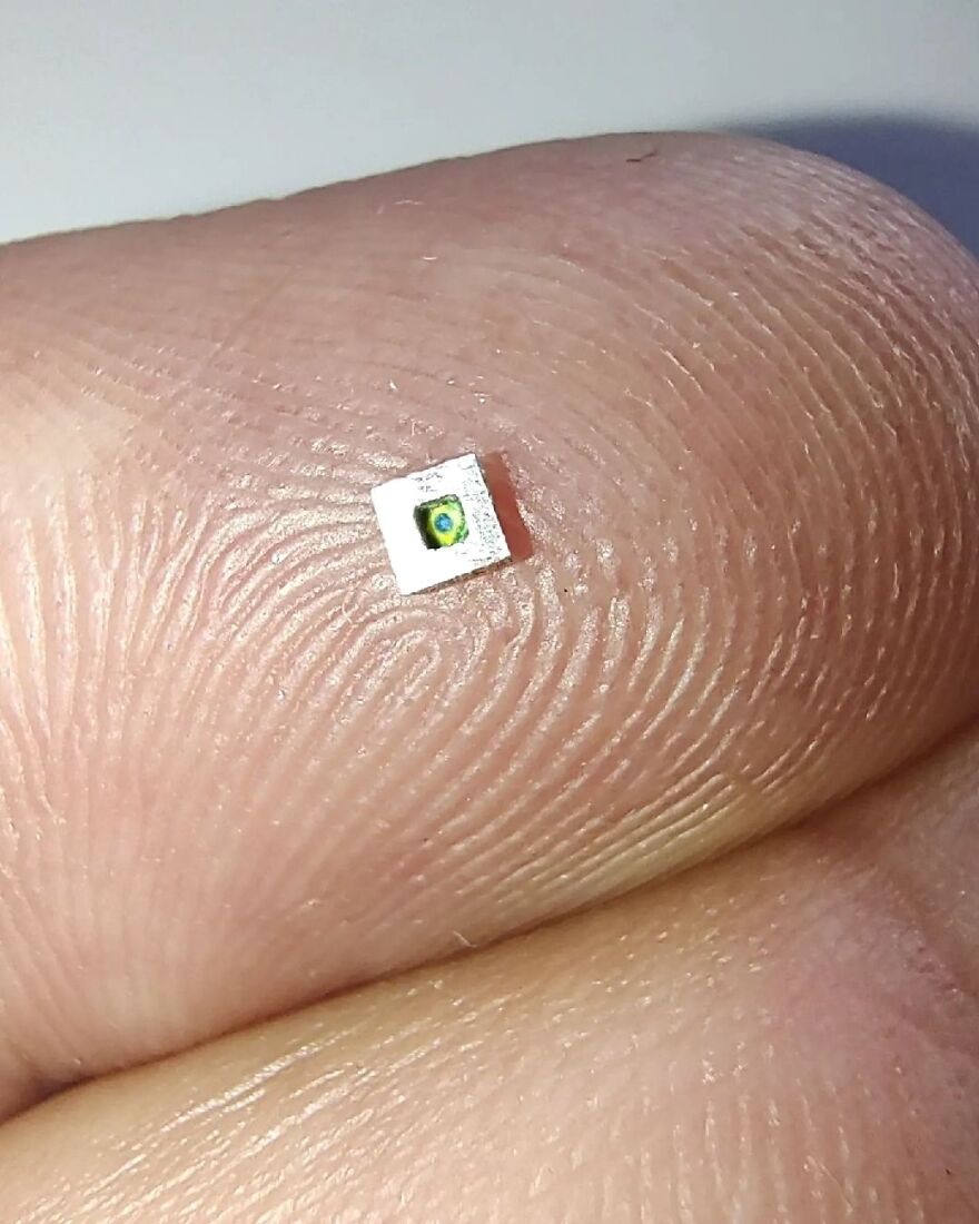 I Make Micro Paintings (9 Pics)