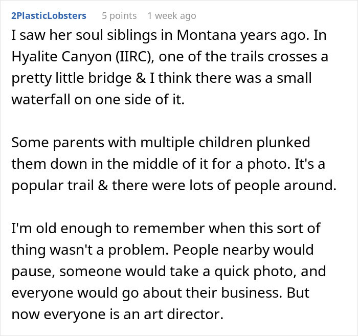 &ldquo;Entitled Parent Wants To Clear A Kids&rsquo; Park To Do A Photoshoot&rdquo;