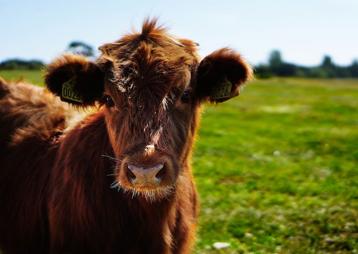 20 Estupideces tremendas que han salido de la boca de algunas personas