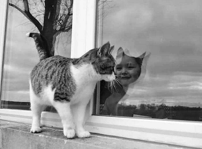 I Collected The Best Cat Photographs From This Street Photographers Account (47 Pics)