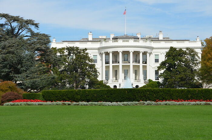 50 “Stupid Facts” That Sound Fake But Are Genuinely Real