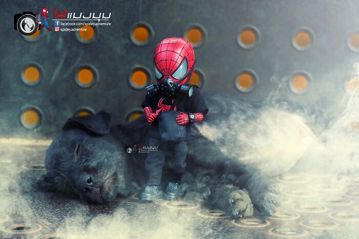 Artist Puts Baby Spider-Man And Animals In The Funniest Scenes (50 New Pics)