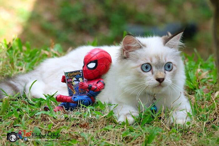 Artist Puts Baby Spider-Man And Animals In The Funniest Scenes (50 New Pics)