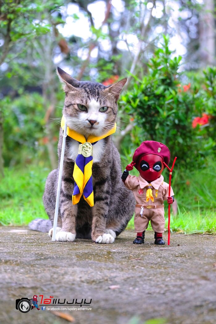 Artist Puts Baby Spider-Man And Animals In The Funniest Scenes (50 New Pics)