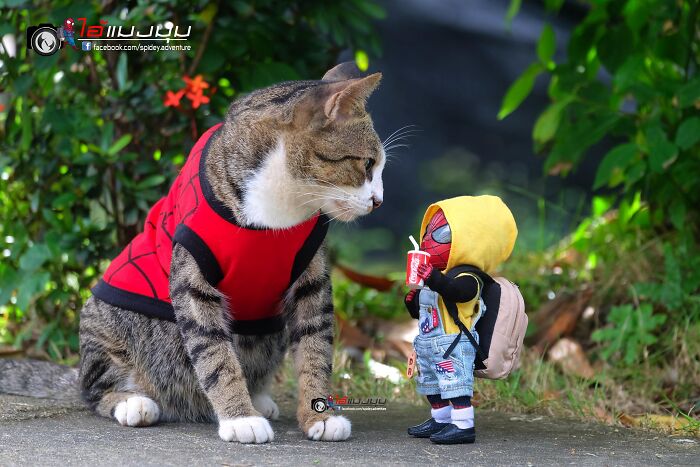 Artist Puts Baby Spider-Man And Animals In The Funniest Scenes (50 New Pics)