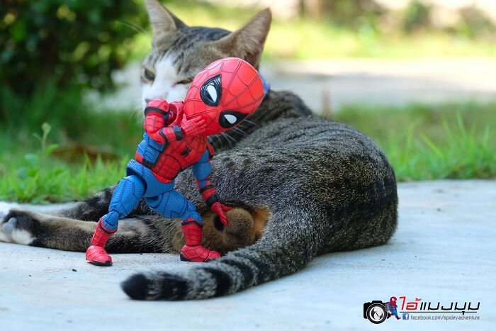 Artist Puts Baby Spider-Man And Animals In The Funniest Scenes (50 New Pics)