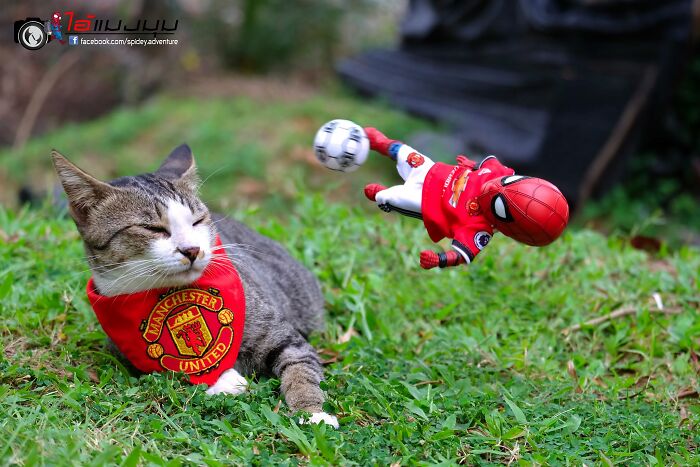 Artist Puts Baby Spider-Man And Animals In The Funniest Scenes (50 New Pics)