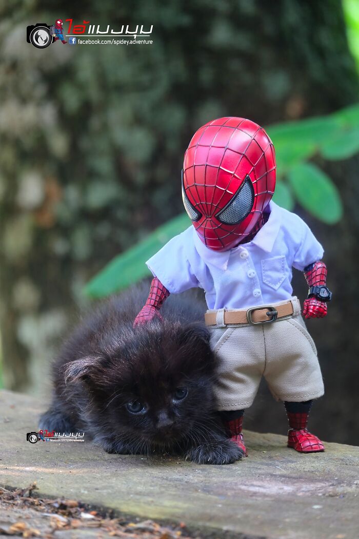 Artist Puts Baby Spider-Man And Animals In The Funniest Scenes (50 New Pics)