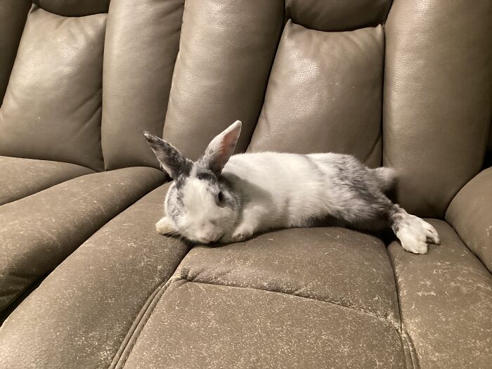 Made Himself At Home