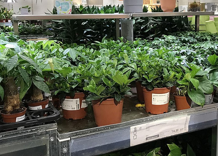 40 Pieces Of “Common Knowledge” People Outside These Professions Don’t Know