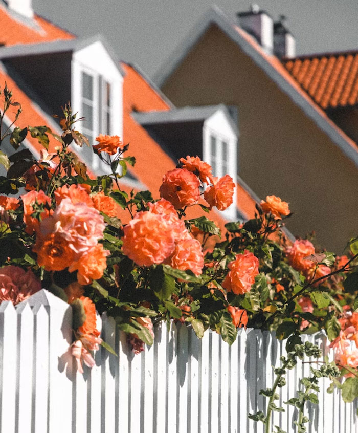 “I Won”: Woman Puts A Stop To Neighbor's Kids Trashing The Sidewalk By Beating Them At Their Game “I Won”: Woman Puts A Stop To Neighbor's Kids Trashing The Sidewalk By Beating Them At Their Game