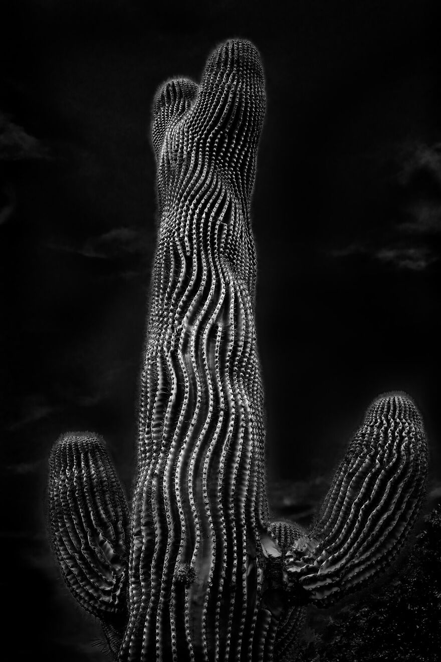 Gucci From The Series 'Night Creatures' © Lev L Spiro