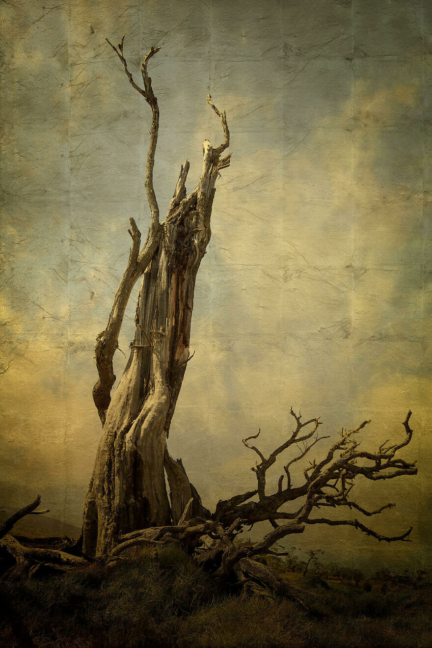 Untitled, From The Series 'A Passing' © Calli Mccaw