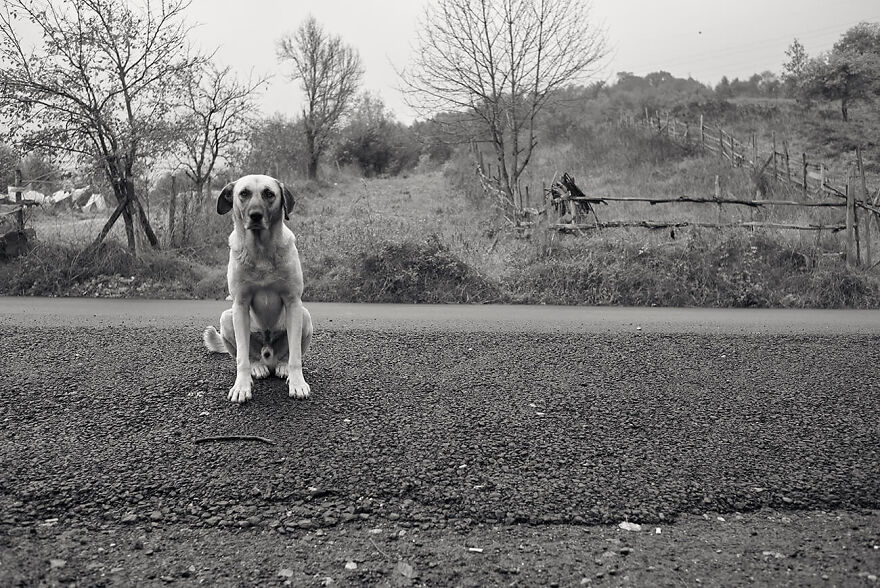 Nature's Depths And Human Traces From The Series 'Interlinked Realities' © Gulgun Guna