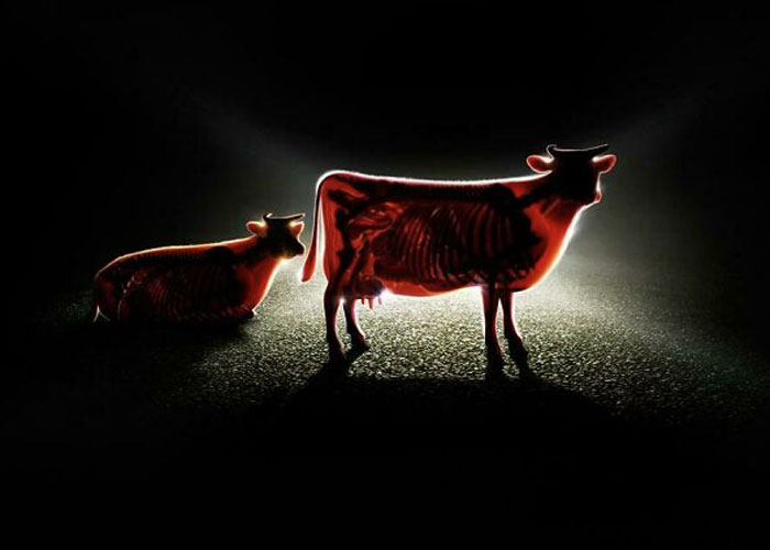 How Mercedes Benz Advertised Their Strong Headlights