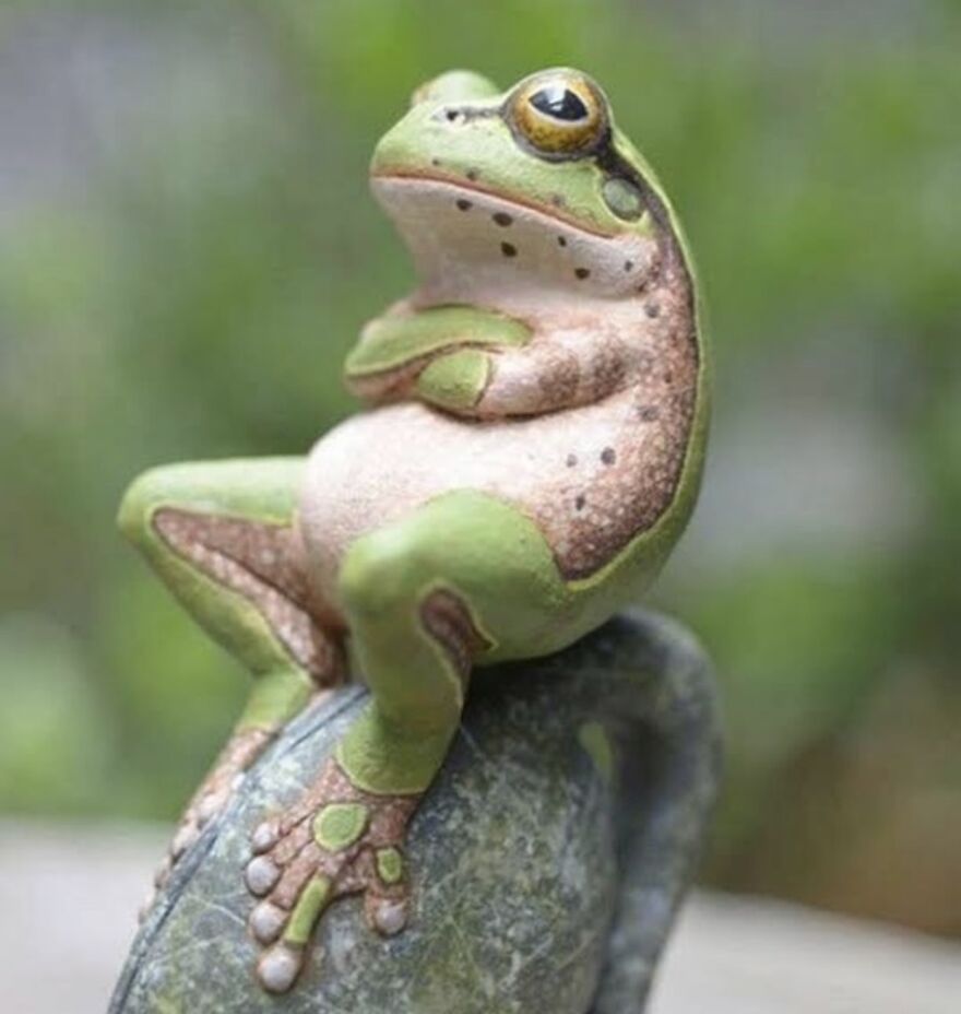 20+ Times Animals Act Like Humans, And They Nailed It