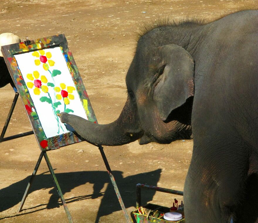 20+ Times Animals Act Like Humans, And They Nailed It