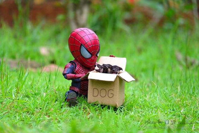 Artist Puts Baby Spider-Man And Animals In The Funniest Scenes (50 New Pics)