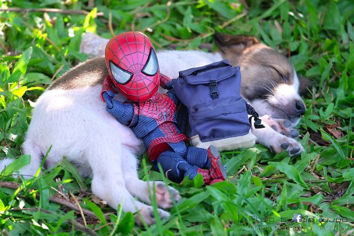 Artist Puts Baby Spider-Man And Animals In The Funniest Scenes (50 New Pics)