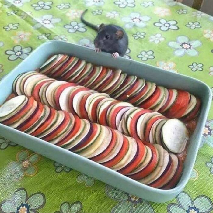 Cursed-Blessed-Blursed-Images