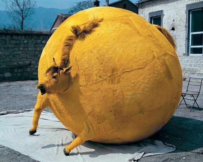 30 "Cursed Images" That Give Off An Uneasy Vibe, As Shared By This Instagram Page