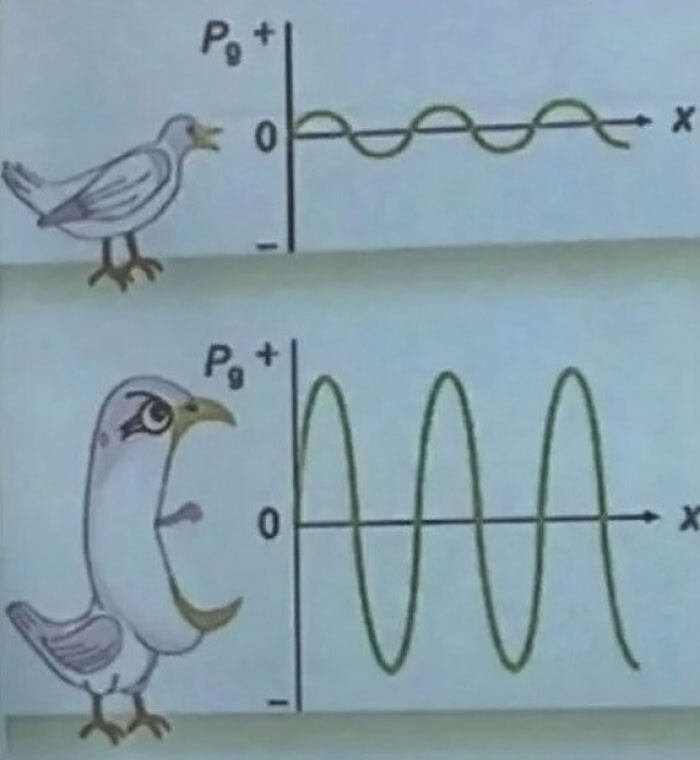 Cursed-Or-Blessed-Blursed-Images