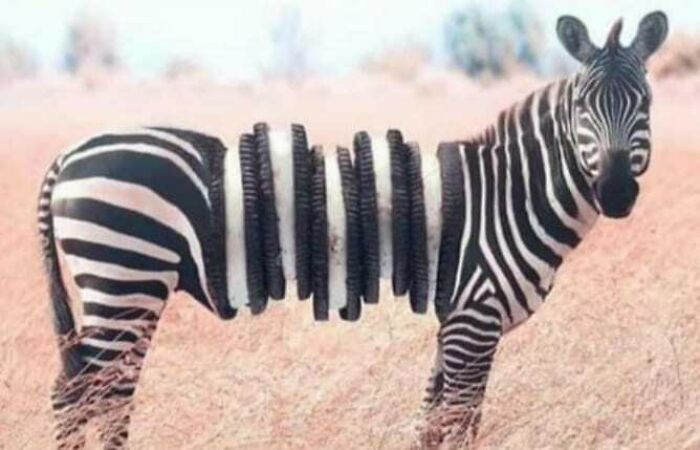 Cursed-Blessed-Blursed-Images