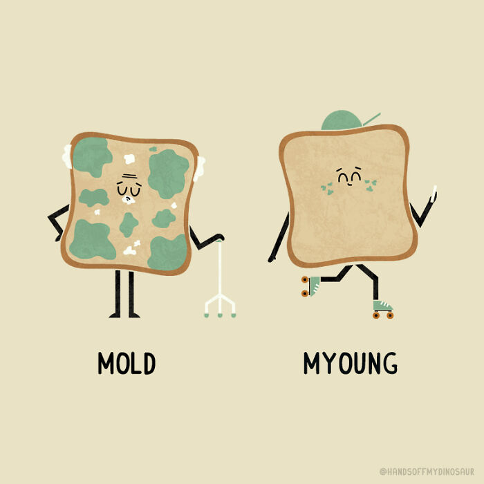 Mold
