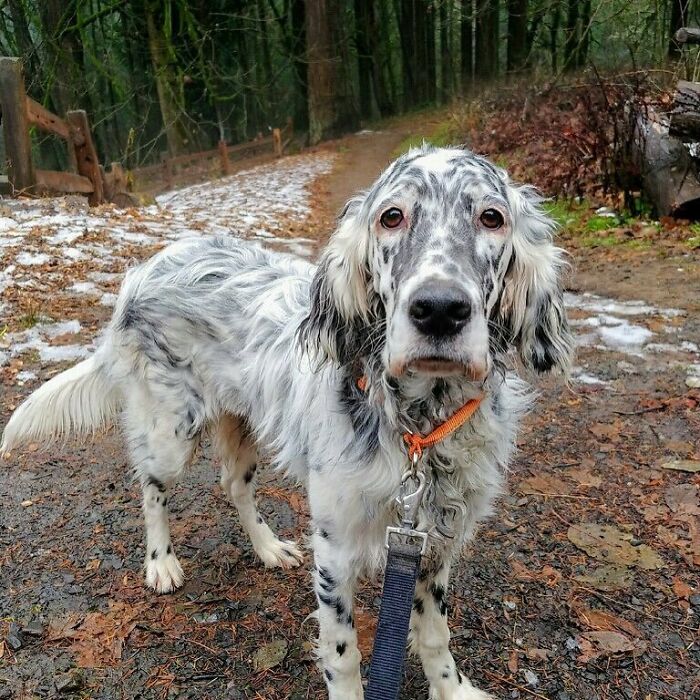 Tatum's Got Marble Fur