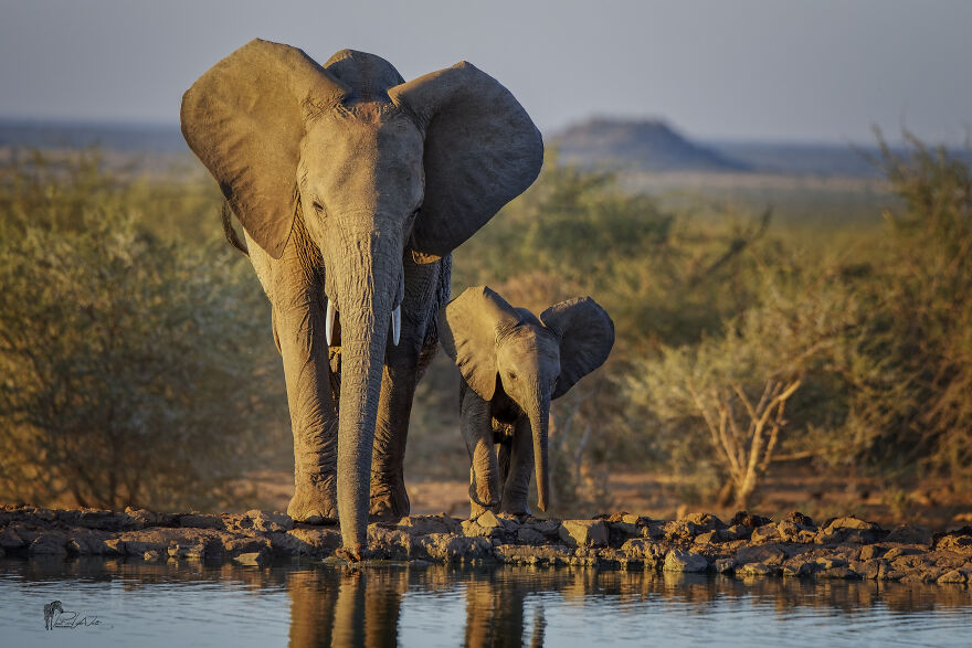 Black And White Africa
