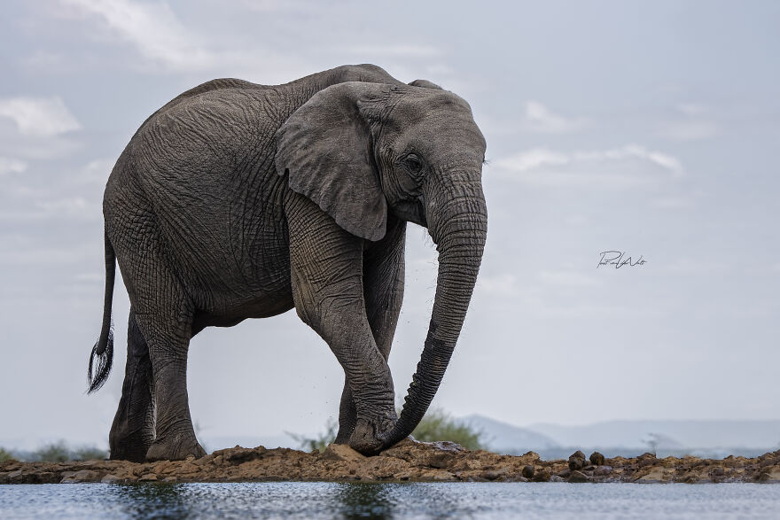 Black And White Africa