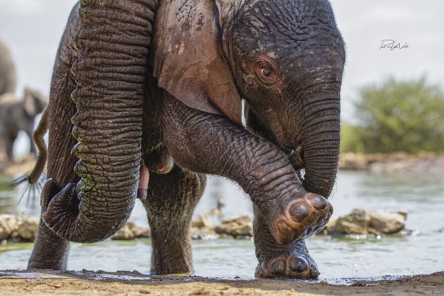 Black And White Africa