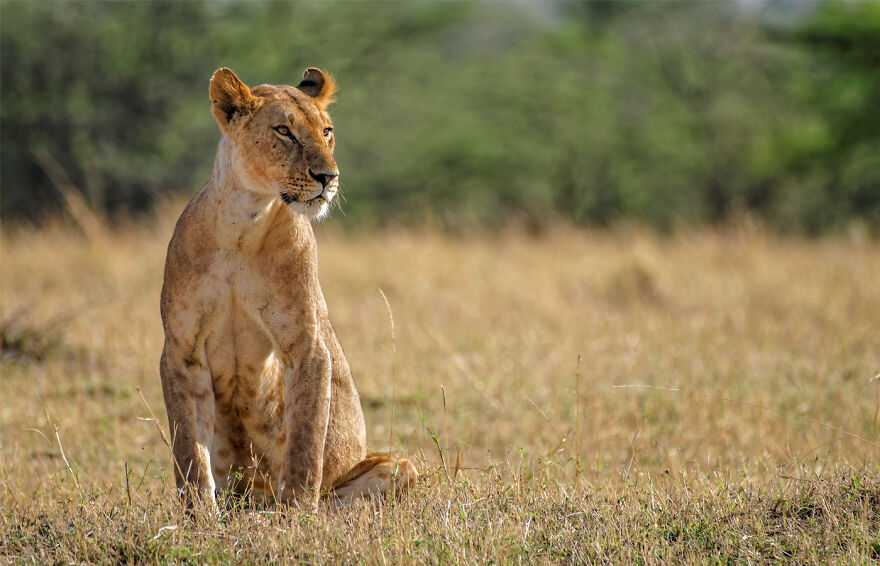 Black And White Africa