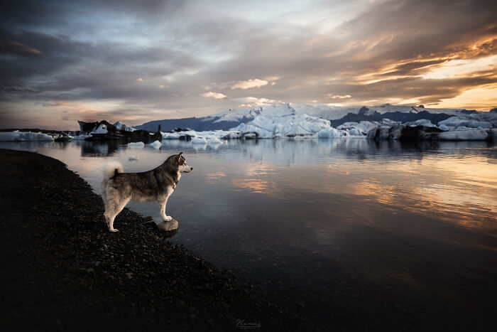 Glacier Lagoon