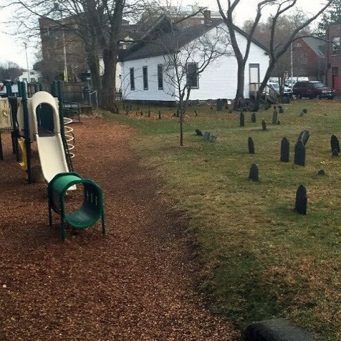 Cursed-Or-Blessed-Blursed-Images