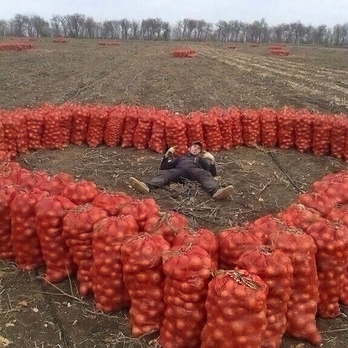 Cursed-Or-Blessed-Blursed-Images