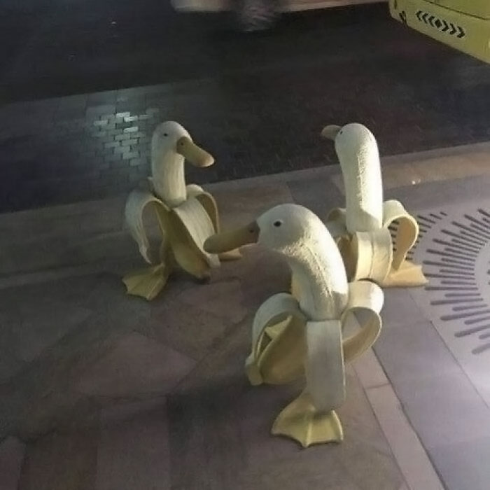 Cursed-Or-Blessed-Blursed-Images