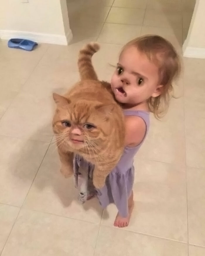 Cursed-Or-Blessed-Blursed-Images