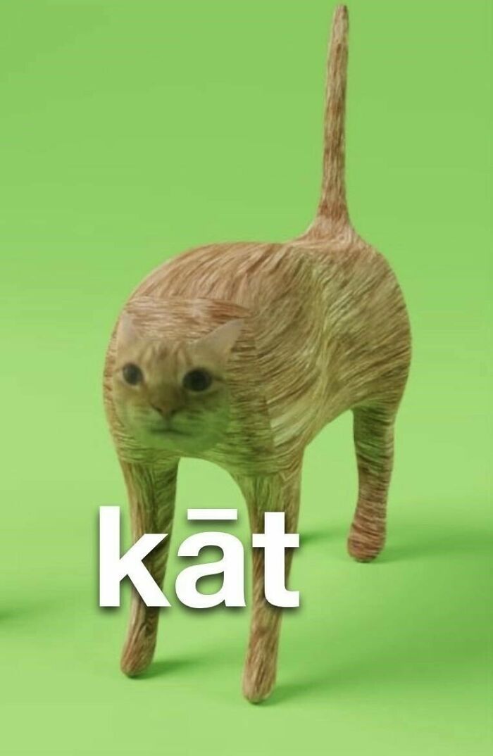 Kāt 😂