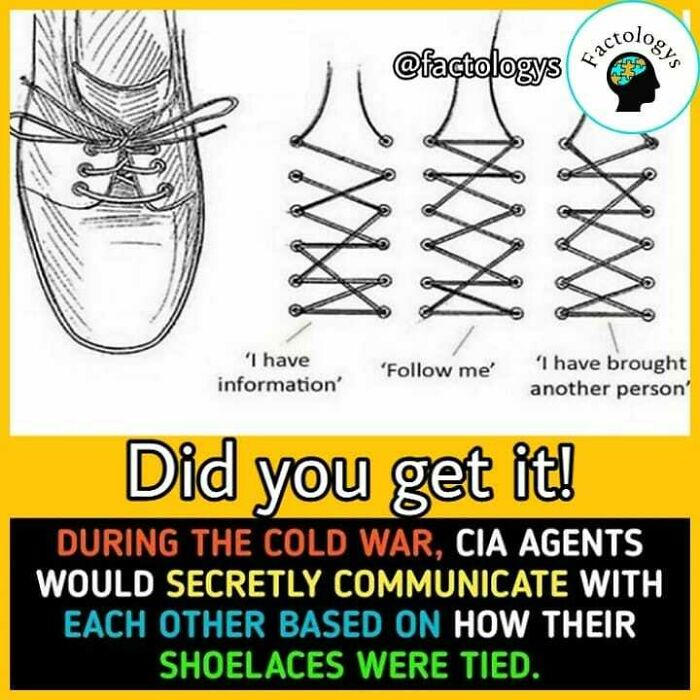 Interesting-Facts-Factologys